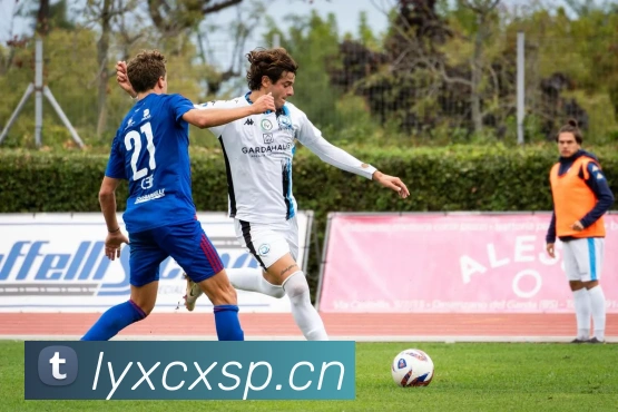 熊猫体育在线登录入口发展历程